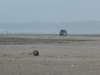 p1000226_small.jpg