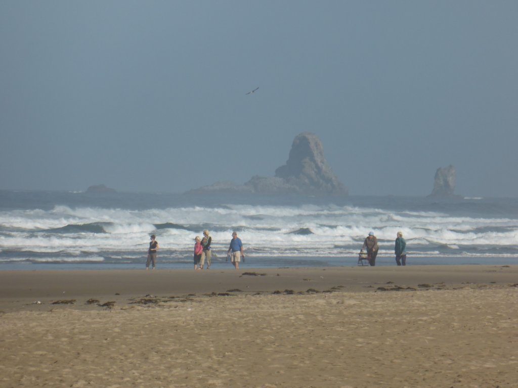 p1000234.jpg