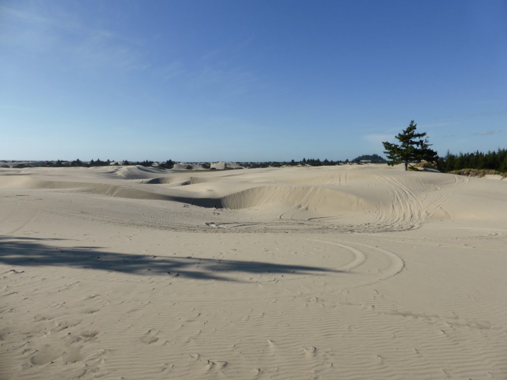 p1000287.jpg