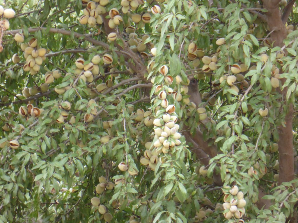 p1000430.jpg