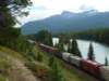 Train dans les rocheuses