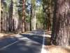 yosemite_small.jpg